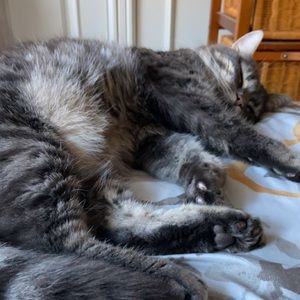 Meet your Posher, Julia